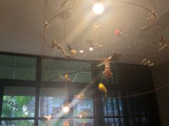 -T館·花园艺术餐厅