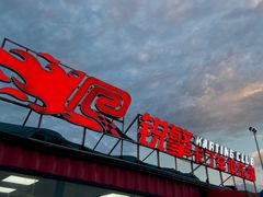-锐擎卡丁车主题乐园(郊野公园店)