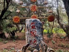 -北海金海湾红树林生态旅游区