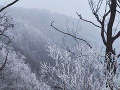 -香山公园