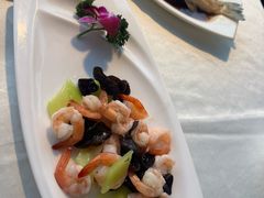 -云中小雅