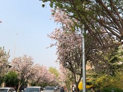 -天津五大道文化旅游区