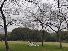 -蠡湖大桥公园