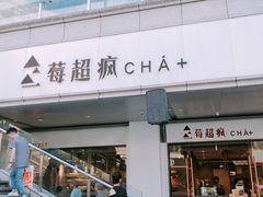 -莓超疯