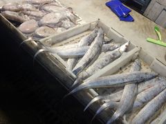 带鱼-大连熟食品交易中心