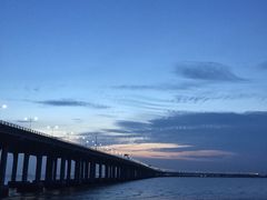 -宝安西湾红树林湿地公园