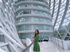 -凤凰中心