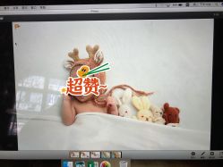 -西瓜庄园儿童摄影