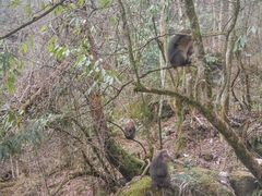 -九峰山