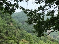 -都江堰石锅鱼