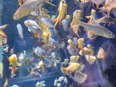 -常州海昌海洋探索馆