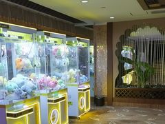 -北丽宫水疗会(宝利来国际大酒店店)