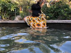 -郑州银基黄帝宫御温泉