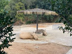 -泉州海丝野生动物世界