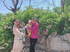 -济南国际园博园