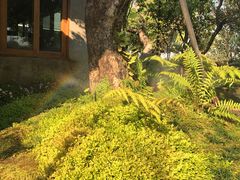 -Chom Cafe and Restaurant