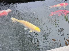 -西安市广仁寺