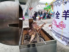 -梦东方未来世界航天主题乐园