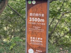 -惠山国家森林公园