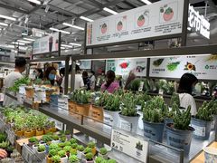 -鹿岛生活(熙地港店)