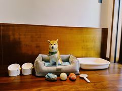-蓝楹湾度假酒店