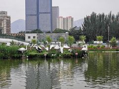 -雁滩公园