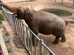 -西霞口神雕山野生动物世界