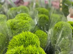 -循礼门鲜花花市(武汉循礼门店)