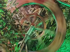-泉眼温泉