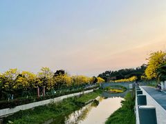 -长洲岛
