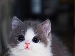 -沽酒当炉(星光天地店)