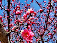 -鹫峰国家森林公园