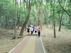 -惠山国家森林公园