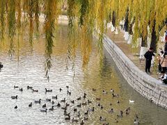 -中国农业博物馆