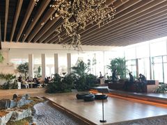 -Seesaw Coffee(朝阳大悦城店)