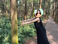 -同里国家湿地公园