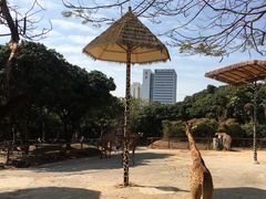 -深圳野生动物园
