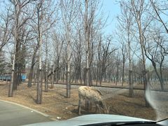 -秦皇岛野生动物园