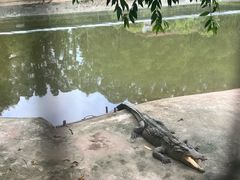 -三水森林公园