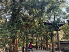-井塘古村