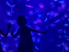 -江和美海洋公园