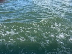 -大理洱海
