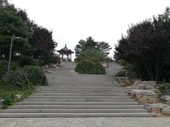 -大兴滨河森林公园