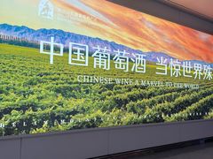 -银川河东国际机场