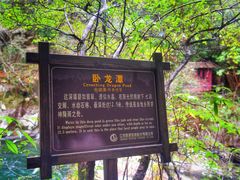 -大鄣山卧龙谷景区