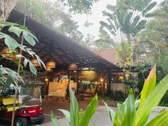 -卷心菜和避孕套餐厅(Pattaya)