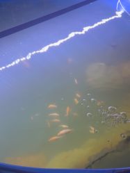 -青木造型HAIR·あおき髪を刈る潮人店