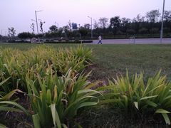-洨河生态公园