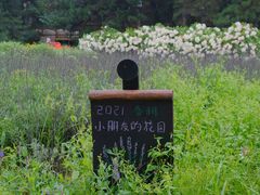 -云峰山自然风景区