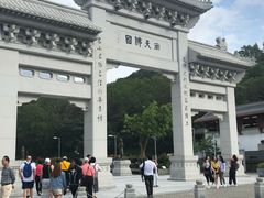 -德记山水豆腐花